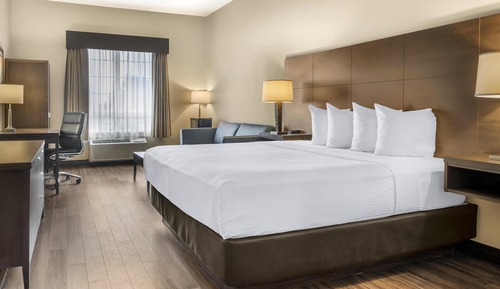 Standard Room, 1 King Bed, Non Smoking, Refrigerator & Microwave (with Sofabed)