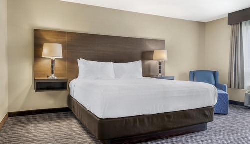 Suite, 1 King Bed, Non Smoking, Refrigerator & Microwave (with Sofabed)