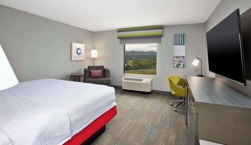 Room, 1 King Bed, Non Smoking, Mountain View