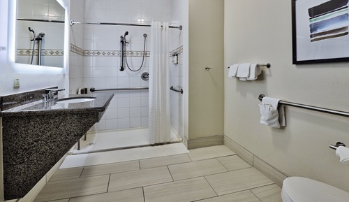 Studio Suite, 1 Queen Bed, Accessible, Kitchen (Mobility Accessible)