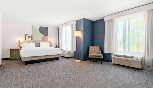 Room, 1 King Bed, Accessible (Mobility & Hearing, Roll-in Shower)