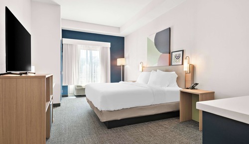 Room, 1 King Bed (Wet Bar)