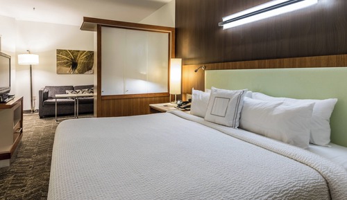 Studio, 1 King Bed with Sofa bed