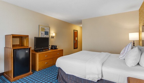 Room, 1 King Bed