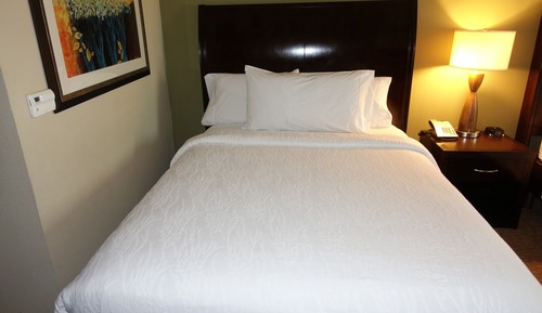King Junior Suite Evolution Room