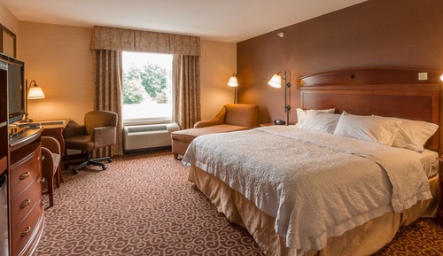 Room, 1 King Bed, Accessible, Non Smoking