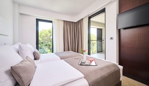 Superior Room, Balcony, Park View