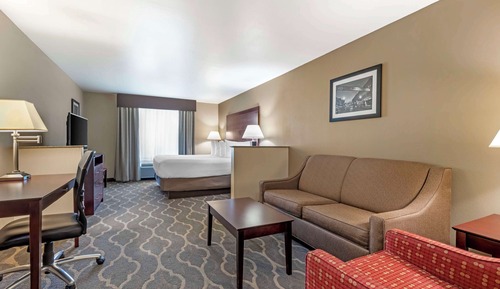 Suite, 1 King Bed, Non Smoking, Refrigerator & Microwave (with Sofabed)