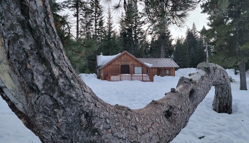 Standard Cabin, 1 Bedroom(Pet-Friendly)