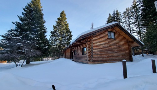 Deluxe Cabin, 2 Bedrooms, 1 Loft(Pet-Friendly) 