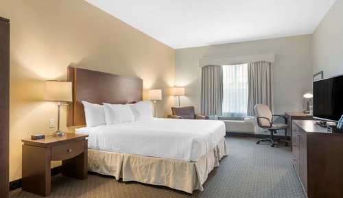 Standard Room, 1 King Bed, Accessible, Refrigerator