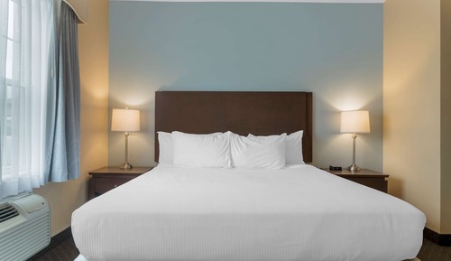 Standard Room, 1 King Bed, Non Smoking, Refrigerator (with Sofabed)