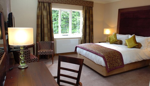 Executive Double Room