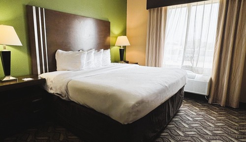 Room, 1 King Bed, Non Smoking