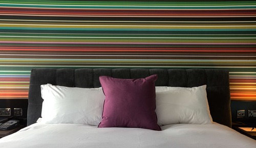 Family Room (1 King & 1 Rollaway Bed)