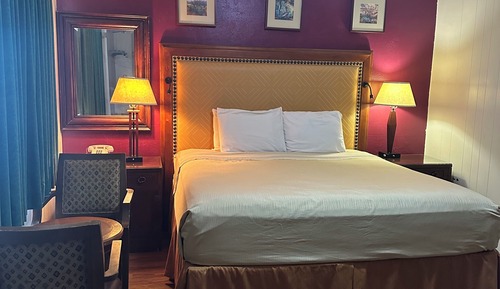 Room, 1 King Bed