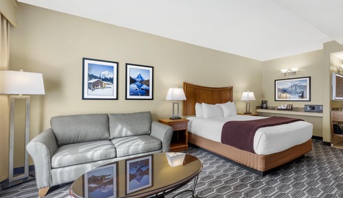 Standard Room, 1 King Bed, Non Smoking, Refrigerator & Microwave (with Sofabed)