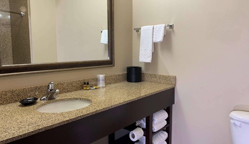 Room, 1 King Bed, Non Smoking (Roll-in Shower)