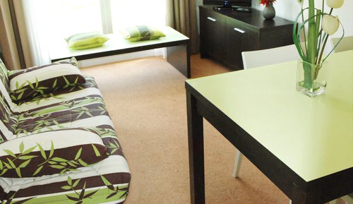 Apartment (T2 for 4 people)