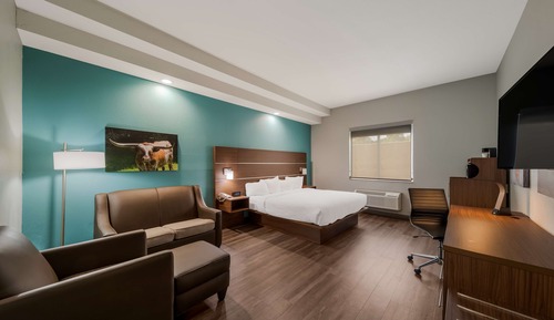 Suite, 1 King Bed, Accessible, Bathtub (with Single Sofabed)