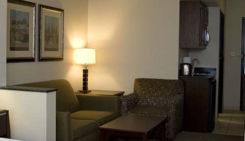 Suite, 1 King Bed with Sofa bed