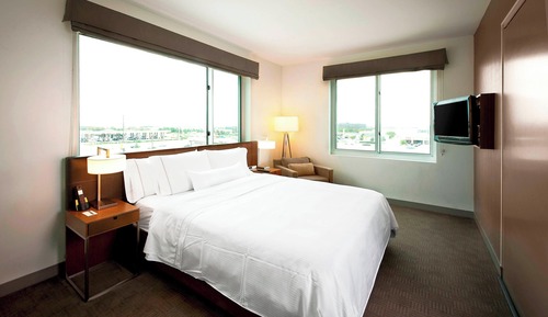 Executive Suite, 1 King Bed