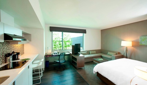 Studio, 1 King Bed
