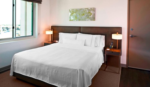 Room, 1 King Bed