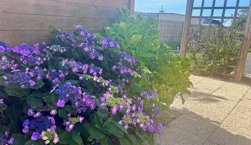 Deluxe Triple Room, 1 Bedroom, Courtyard Area