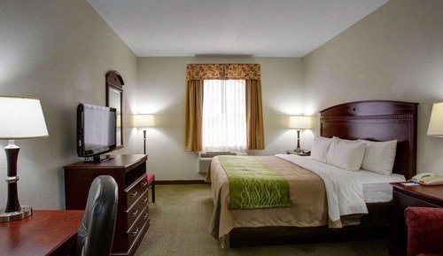 Standard Room, 1 King Bed, Non Smoking