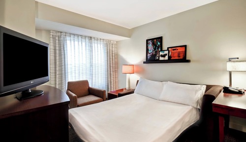 Studio, 1 King Bed with Sofa bed