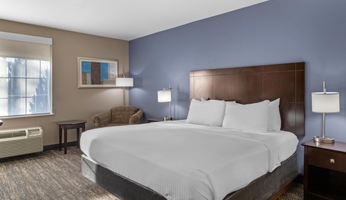 Standard Room, 1 King Bed, Non Smoking, Refrigerator & Microwave