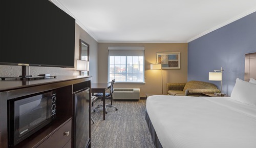 Standard Room, 1 King Bed, Non Smoking, Refrigerator & Microwave (with Single Sofabed)