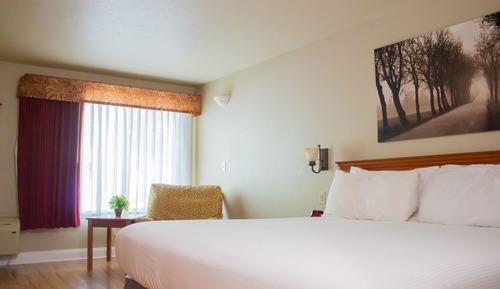 Room (One King with Shower)