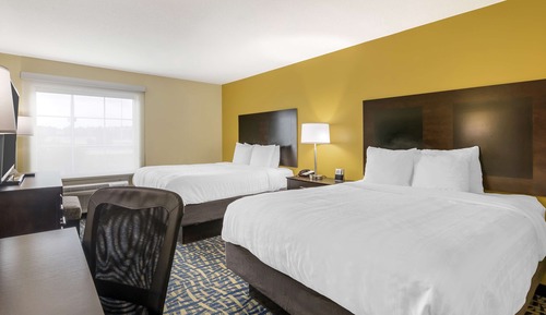 Standard Room, 2 Queen Beds, Non Smoking, Refrigerator & Microwave