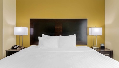 Suite, 1 King Bed, Non Smoking, Refrigerator & Microwave