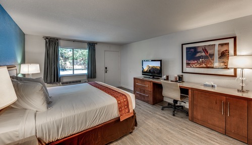 Standard Single Room, 1 King Bed, Accessible, Refrigerator & Microwave