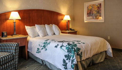 Room, 1 King Bed, Accessible, Non Smoking (Mobility/Hearing Impaired)