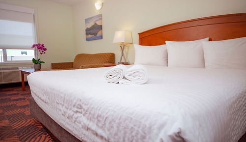 Standard Single Room, 1 King Bed with Sofa bed