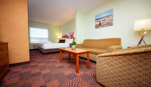 Business Studio Suite, 1 King Bed with Sofa bed