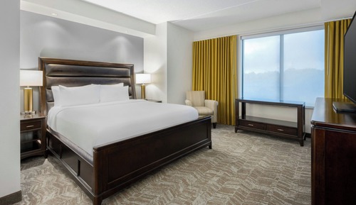 Suite, 1 King Bed, Hearing Accessible