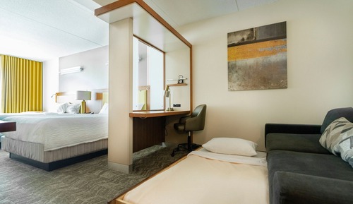 Studio, 1 King Bed with Sofa bed