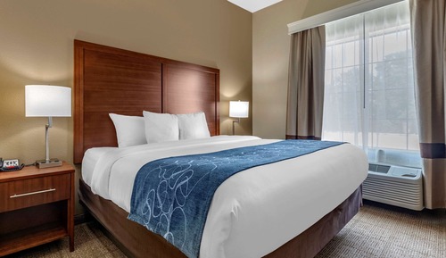 Room, 1 King Bed, Accessible, Non Smoking