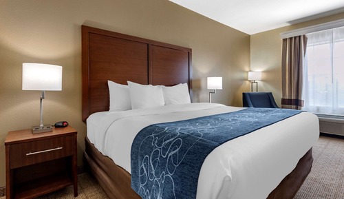 Standard Room, 1 King Bed, Non Smoking