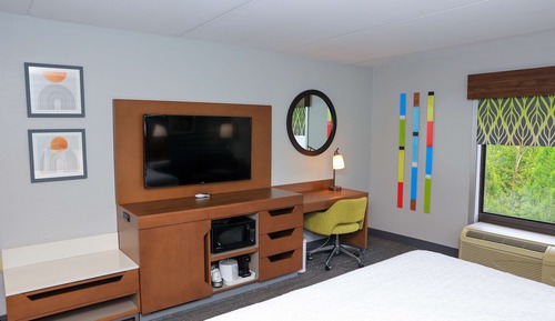 Room, 1 King Bed, Accessible