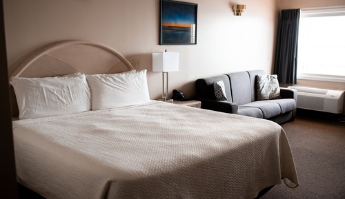 Basic Room, 1 King Bed & Pull Out Sofa
