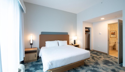 Suite, 1 King Bed with Sofa bed, Non Smoking