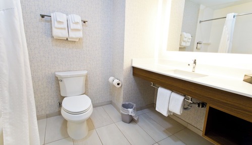 Standard Room, 1 King Bed, Accessible (Mobil Tran Shwr)
