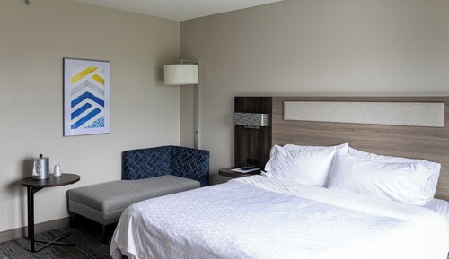 Suite, 1 King Bed with Sofa bed