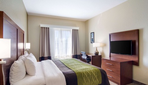 Standard Room, 1 King Bed, Non Smoking